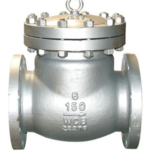 Swing  Check Valve