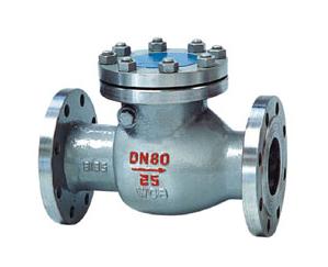 PN16~40 DIN swing Check Valve F1 & F6 