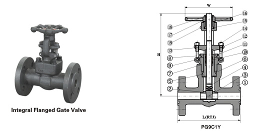 Class 900~2500 Flanged End Pressure-seal Gate Valve 